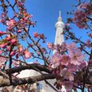 ヒメ日記 2026/02/23 23:36 投稿 なつき 吉原ファーストレディ