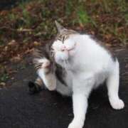 ヒメ日記 2026/02/24 10:16 投稿 なつき 吉原ファーストレディ