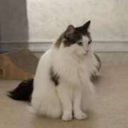 ヒメ日記 2026/02/24 13:16 投稿 なつき 吉原ファーストレディ