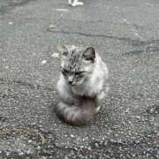 ヒメ日記 2026/02/26 11:14 投稿 なつき 吉原ファーストレディ