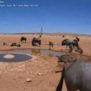 ヒメ日記 2026/03/01 21:06 投稿 なつき 吉原ファーストレディ