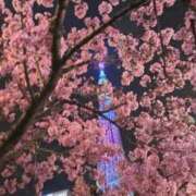 ヒメ日記 2026/03/02 23:36 投稿 なつき 吉原ファーストレディ