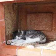 なつき おはようございます☀️ 吉原ファーストレディ