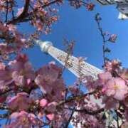 ヒメ日記 2026/03/08 23:16 投稿 なつき 吉原ファーストレディ