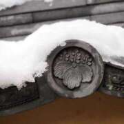 ヒメ日記 2026/03/10 23:29 投稿 なつき 吉原ファーストレディ