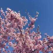 ヒメ日記 2026/03/12 18:56 投稿 なつき 吉原ファーストレディ