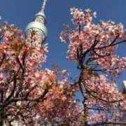 ヒメ日記 2026/03/14 06:25 投稿 なつき 吉原ファーストレディ