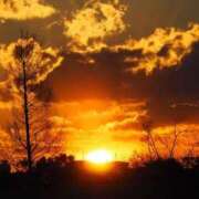 ヒメ日記 2026/03/21 06:17 投稿 なつき 吉原ファーストレディ