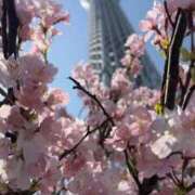 ヒメ日記 2026/03/22 06:07 投稿 なつき 吉原ファーストレディ