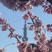 ヒメ日記 2026/03/23 06:06 投稿 なつき 吉原ファーストレディ