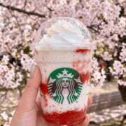 ヒメ日記 2026/03/25 09:35 投稿 なつき 吉原ファーストレディ