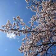 ヒメ日記 2026/03/29 06:09 投稿 なつき 吉原ファーストレディ