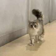 ヒメ日記 2026/03/30 06:07 投稿 なつき 吉原ファーストレディ