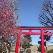 ヒメ日記 2026/03/31 21:46 投稿 なつき 吉原ファーストレディ