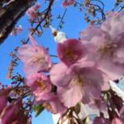 ヒメ日記 2026/04/06 06:16 投稿 なつき 吉原ファーストレディ