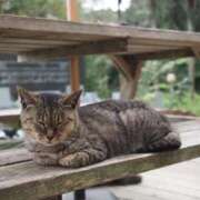 ヒメ日記 2026/04/13 06:26 投稿 なつき 吉原ファーストレディ