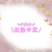 ヒメ日記 2024/12/12 14:19 投稿 あかり 吉原ファーストレディ