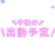 ヒメ日記 2025/02/03 15:06 投稿 あかり 吉原ファーストレディ