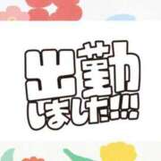 ヒメ日記 2025/03/06 07:16 投稿 あかり 吉原ファーストレディ