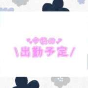 ヒメ日記 2025/03/26 14:19 投稿 あかり 吉原ファーストレディ