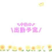 ヒメ日記 2025/04/01 14:16 投稿 あかり 吉原ファーストレディ