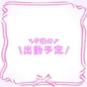 ヒメ日記 2025/04/02 14:11 投稿 あかり 吉原ファーストレディ