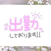 ヒメ日記 2025/04/07 08:48 投稿 あかり 吉原ファーストレディ