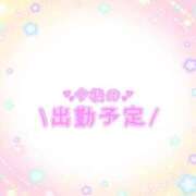 ヒメ日記 2025/04/24 20:09 投稿 あかり 吉原ファーストレディ
