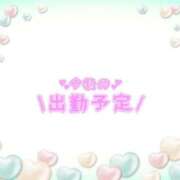 ヒメ日記 2025/04/26 21:07 投稿 あかり 吉原ファーストレディ