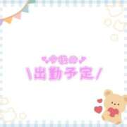 ヒメ日記 2025/04/29 14:19 投稿 あかり 吉原ファーストレディ