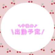 ヒメ日記 2025/04/30 14:16 投稿 あかり 吉原ファーストレディ