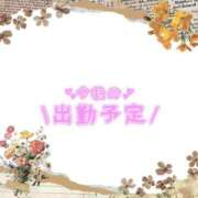 ヒメ日記 2025/05/03 17:49 投稿 あかり 吉原ファーストレディ