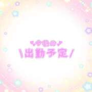 ヒメ日記 2025/05/04 16:56 投稿 あかり 吉原ファーストレディ