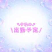 ヒメ日記 2025/05/08 14:24 投稿 あかり 吉原ファーストレディ