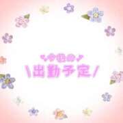 ヒメ日記 2025/05/09 14:26 投稿 あかり 吉原ファーストレディ