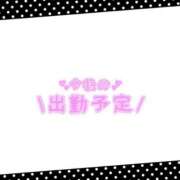 ヒメ日記 2025/05/11 21:06 投稿 あかり 吉原ファーストレディ