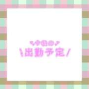 ヒメ日記 2025/07/31 20:50 投稿 あかり 吉原ファーストレディ