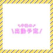 ヒメ日記 2025/08/09 15:18 投稿 あかり 吉原ファーストレディ