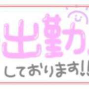 ヒメ日記 2025/08/10 07:36 投稿 あかり 吉原ファーストレディ