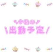 ヒメ日記 2025/09/04 20:06 投稿 あかり 吉原ファーストレディ