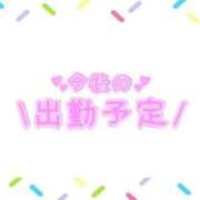ヒメ日記 2025/09/05 15:57 投稿 あかり 吉原ファーストレディ