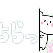 ヒメ日記 2025/09/24 09:47 投稿 あかり 吉原ファーストレディ