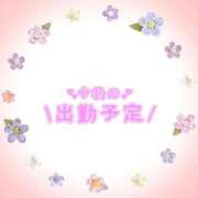 ヒメ日記 2025/11/12 23:46 投稿 あかり 吉原ファーストレディ