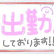 ヒメ日記 2025/11/25 08:07 投稿 あかり 吉原ファーストレディ