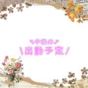 ヒメ日記 2025/11/25 14:46 投稿 あかり 吉原ファーストレディ