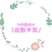 ヒメ日記 2025/12/01 14:52 投稿 あかり 吉原ファーストレディ