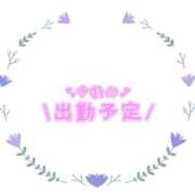 ヒメ日記 2025/12/28 00:16 投稿 あかり 吉原ファーストレディ