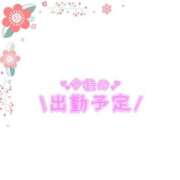 ヒメ日記 2026/01/04 20:26 投稿 あかり 吉原ファーストレディ