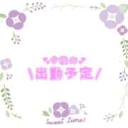 ヒメ日記 2026/01/06 15:06 投稿 あかり 吉原ファーストレディ