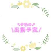 ヒメ日記 2026/01/07 23:09 投稿 あかり 吉原ファーストレディ